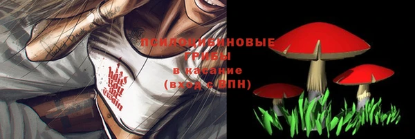 метамфетамин Алексеевка