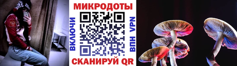 Псилоцибиновые грибы MAGIC MUSHROOMS  цена   ОМГ ОМГ ссылки  Могоча 